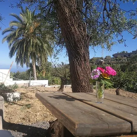 Naturaleza , Tranquilidad, Barbacoa....que Mas! La Degollada